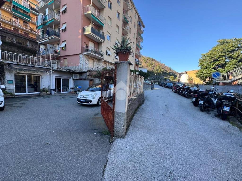 immagine annuncio 4 di 13