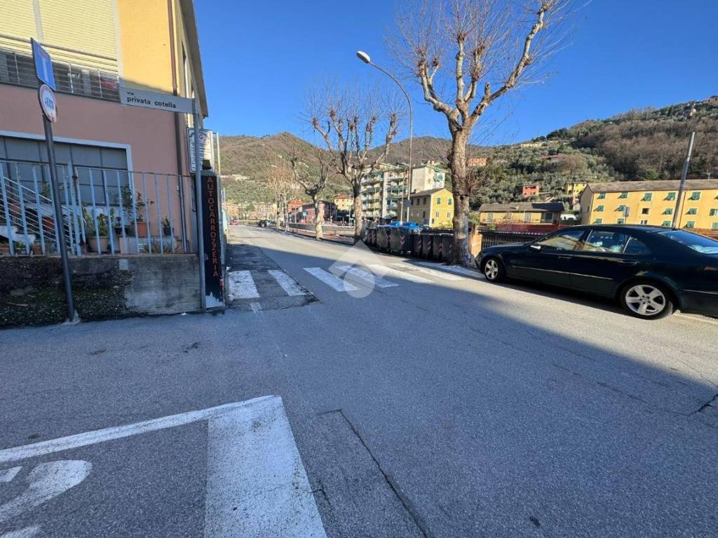 immagine annuncio 5 di 13