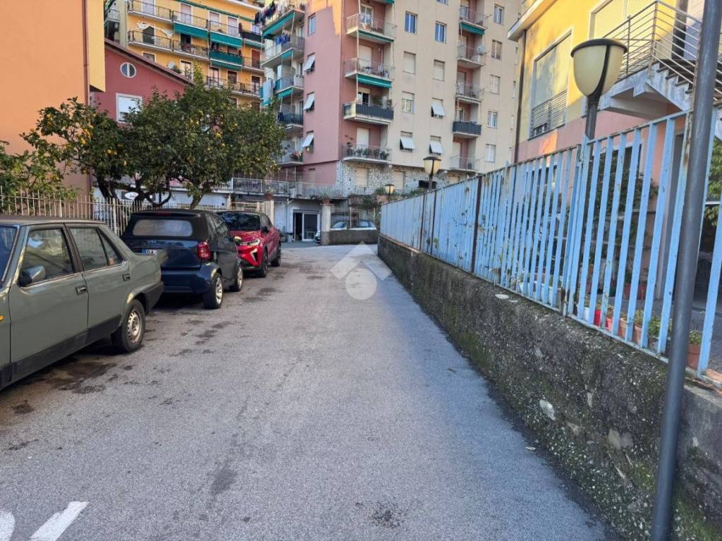 immagine annuncio 6 di 13