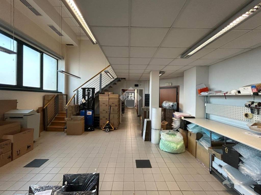 immagine annuncio 12 di 15