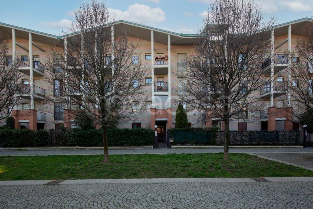 immagine annuncio 2 di 15