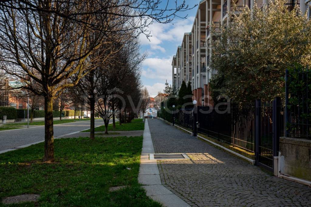 immagine annuncio 4 di 15