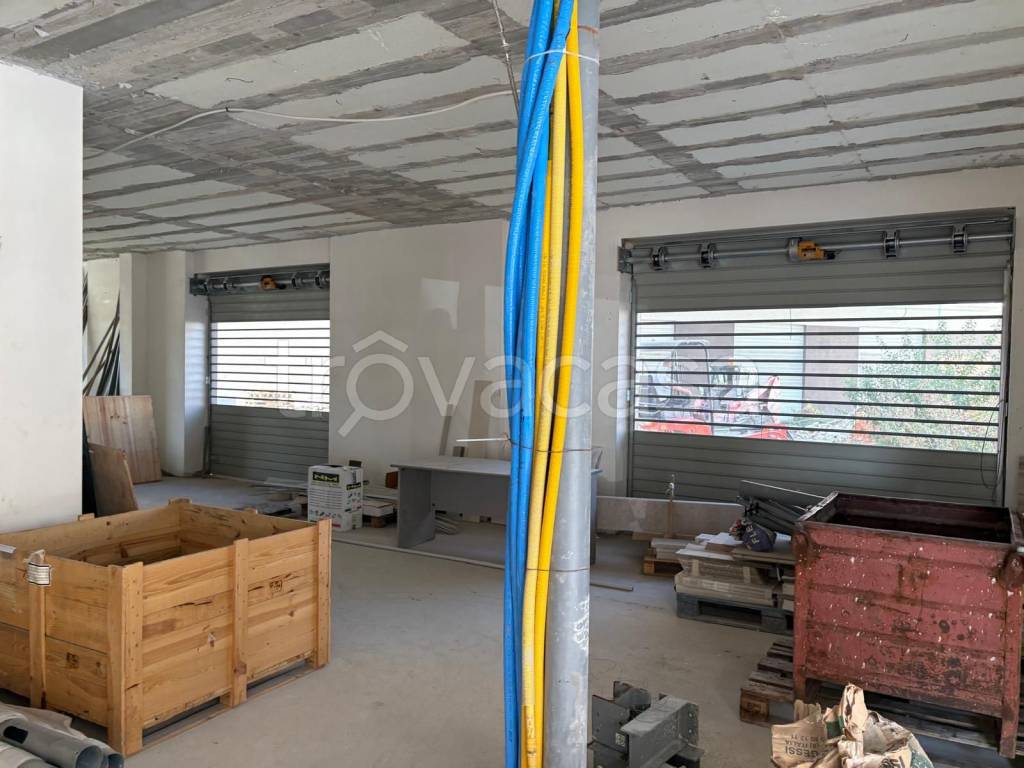 immagine annuncio 12 di 13