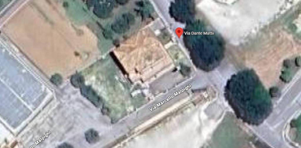 immagine annuncio 6 di 12