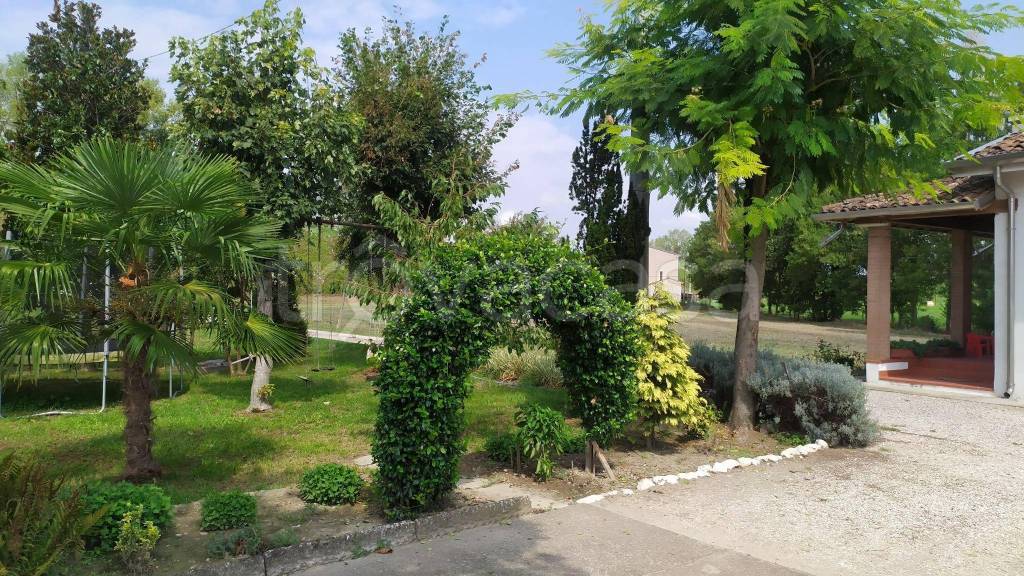 immagine annuncio 10 di 14