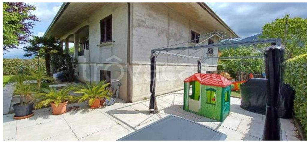 immagine annuncio 2 di 12