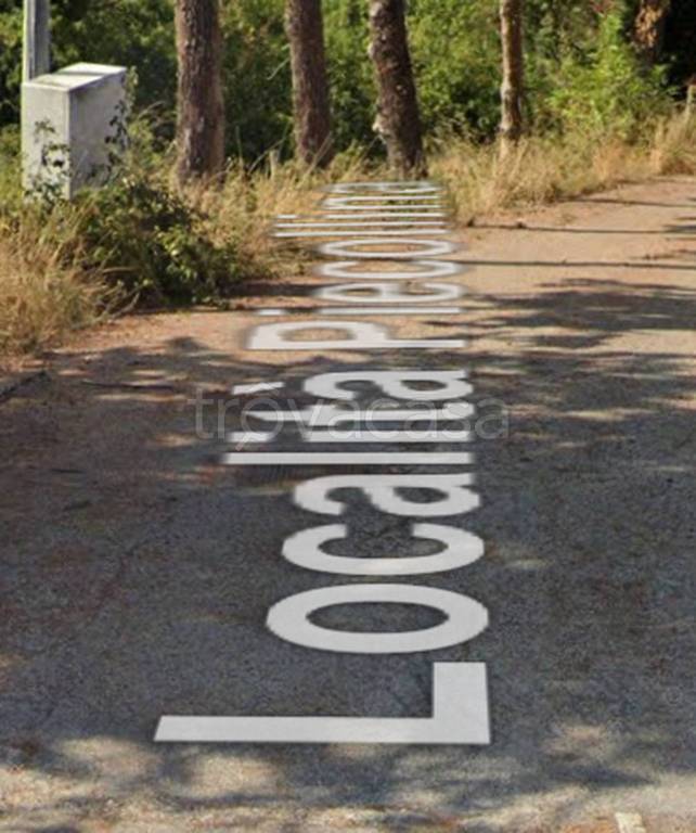 immagine annuncio 7 di 12