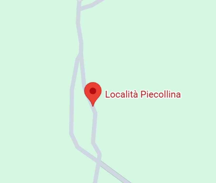 immagine annuncio 9 di 12