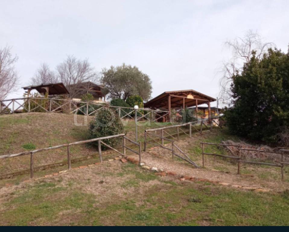 immagine annuncio 10 di 11