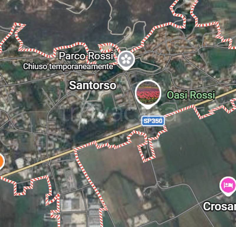 immagine annuncio 2 di 12