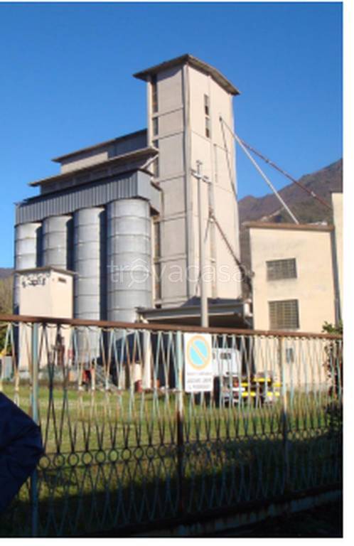 immagine annuncio 6 di 12