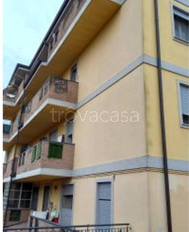 immagine annuncio 5 di 12