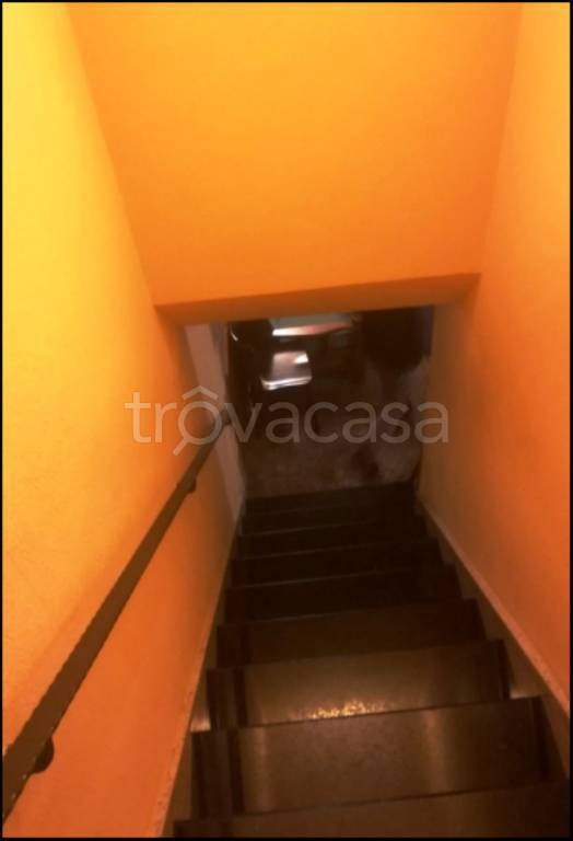 immagine annuncio 8 di 14