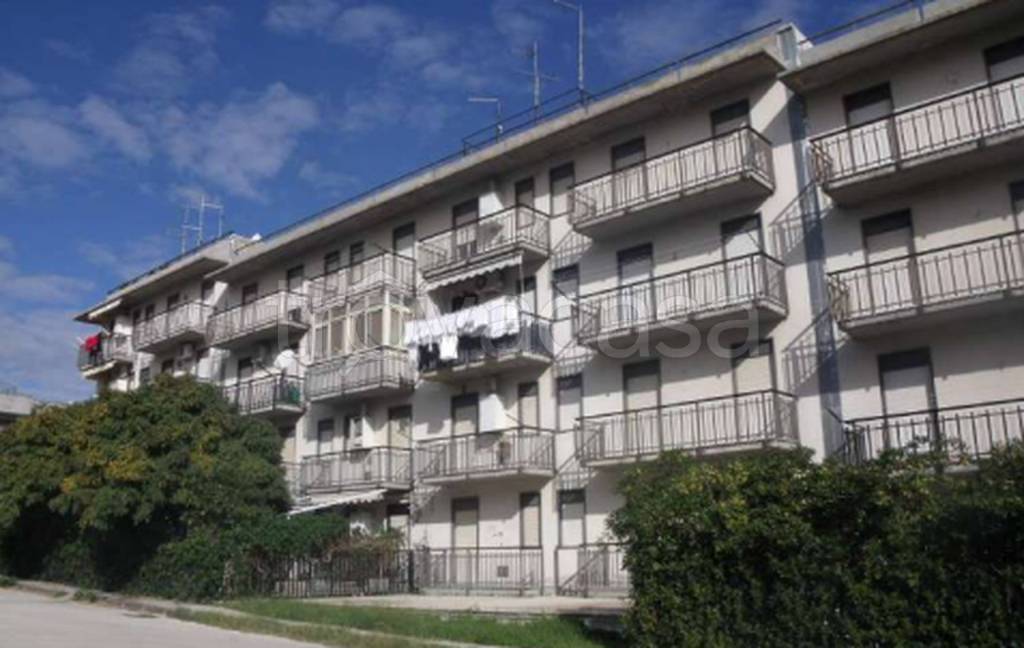 immagine annuncio 4 di 11