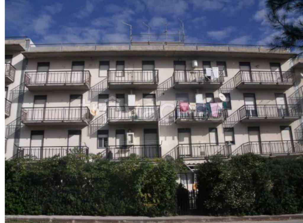 immagine annuncio 3 di 12