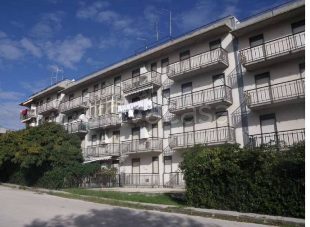 immagine annuncio 4 di 12