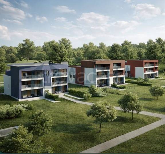 immagine annuncio 12 di 14