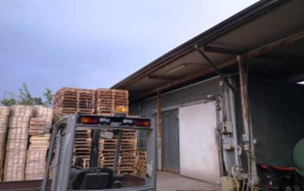 immagine annuncio 3 di 10