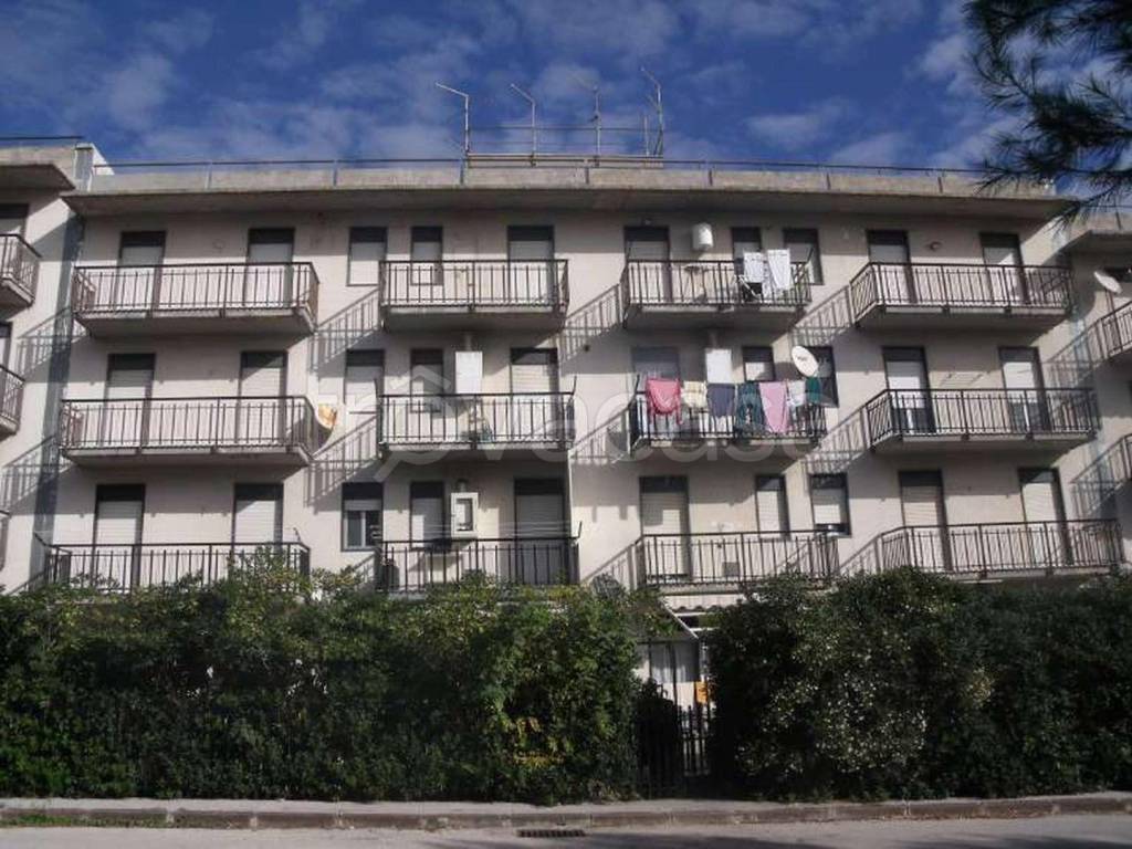 immagine annuncio 3 di 12