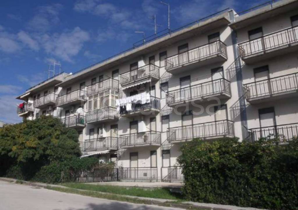 immagine annuncio 2 di 11