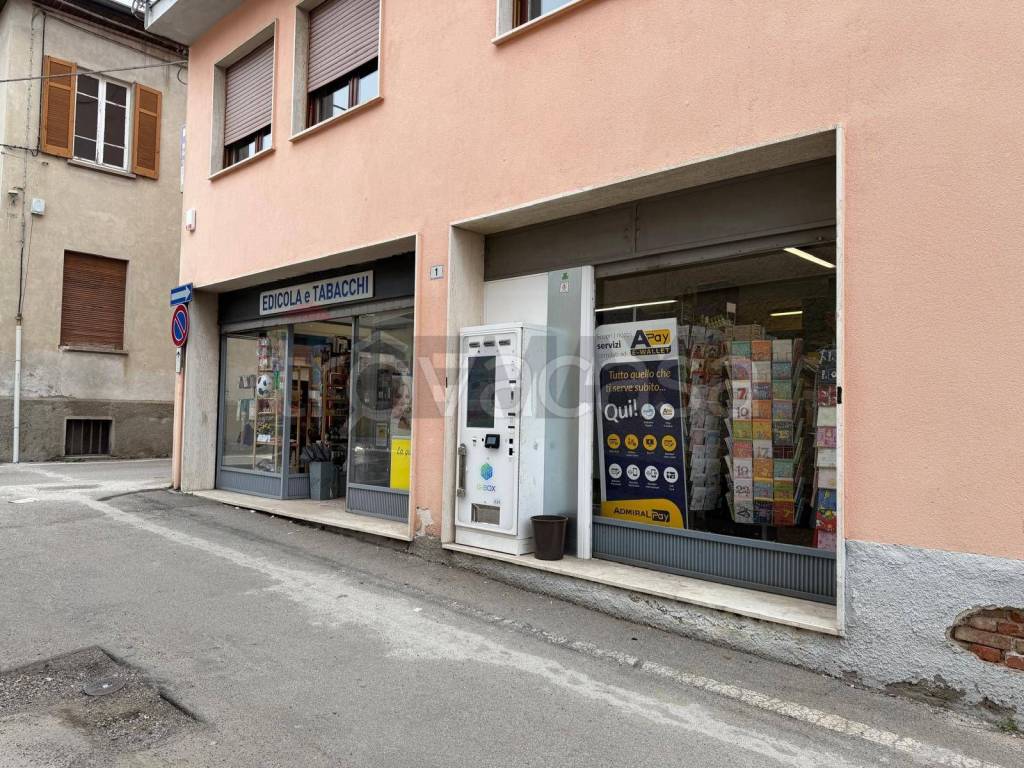 immagine annuncio 4 di 9