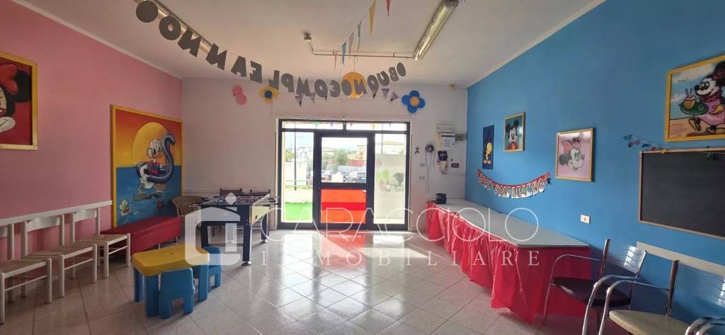 immagine annuncio 6 di 12