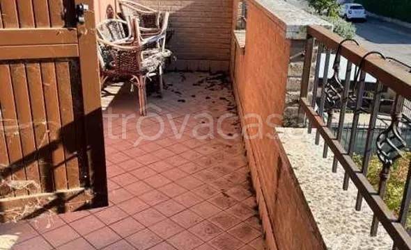 immagine annuncio 9 di 14