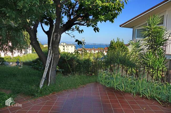 immagine annuncio 6 di 11