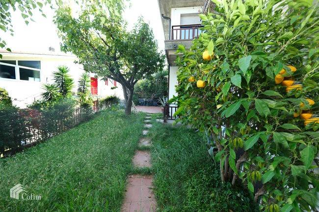 immagine annuncio 8 di 11