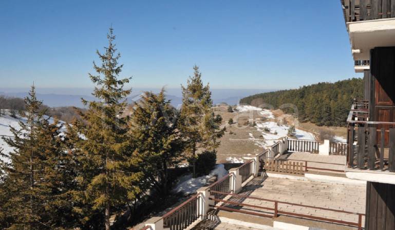 immagine annuncio 5 di 7