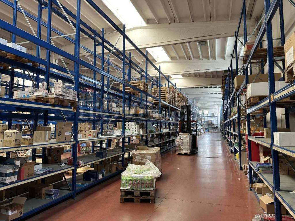 immagine annuncio 9 di 15