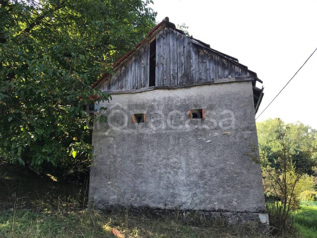 immagine annuncio 4 di 12