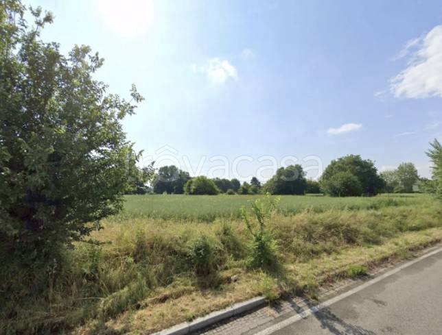 immagine annuncio 1 di 8