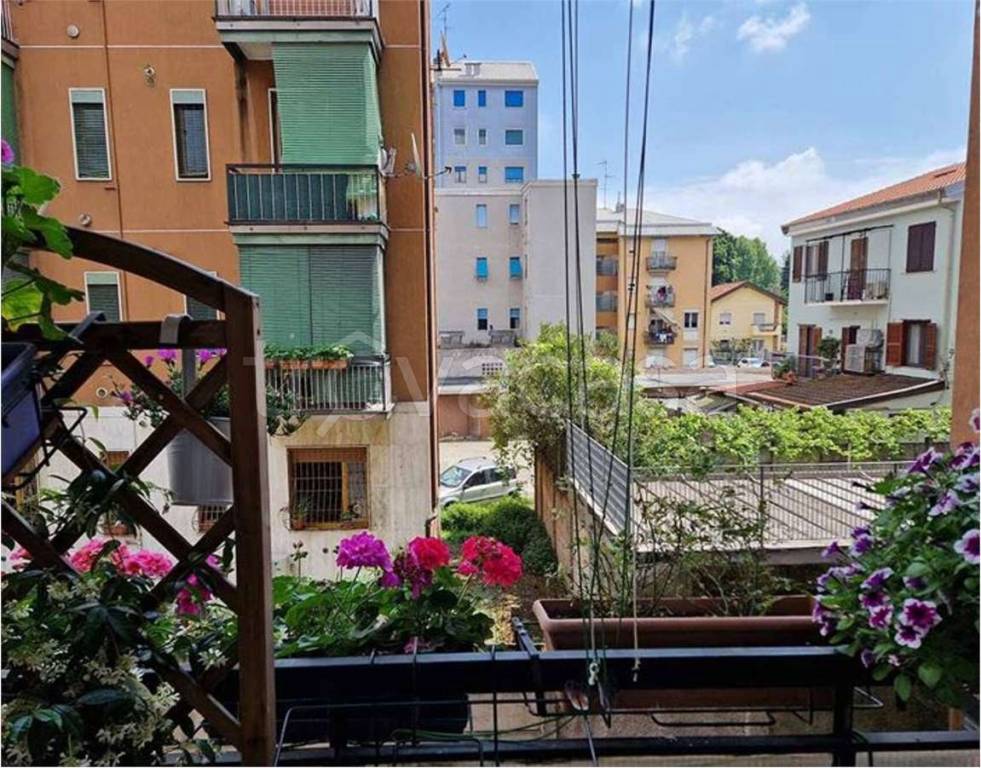 immagine annuncio 3 di 13