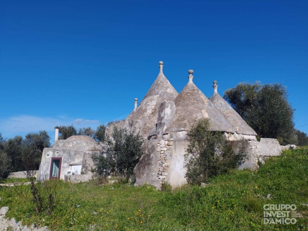 immagine annuncio 1 di 8