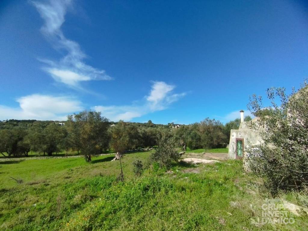 immagine annuncio 7 di 8