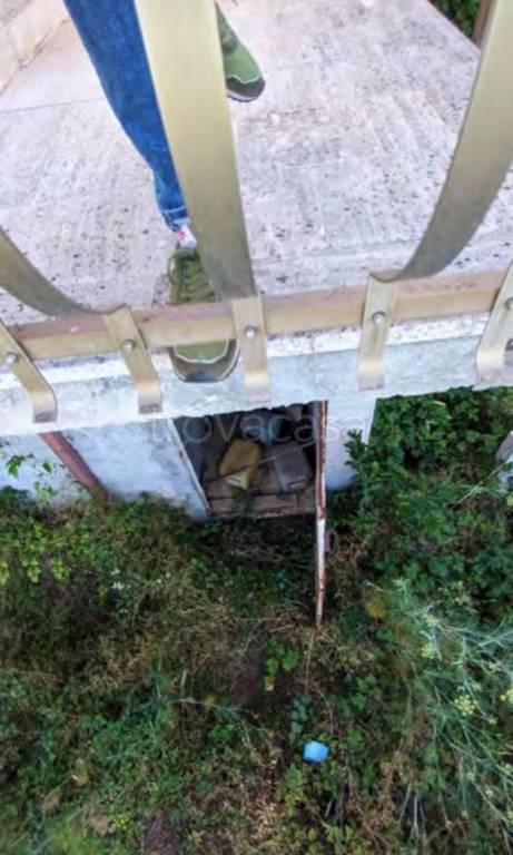 immagine annuncio 8 di 12