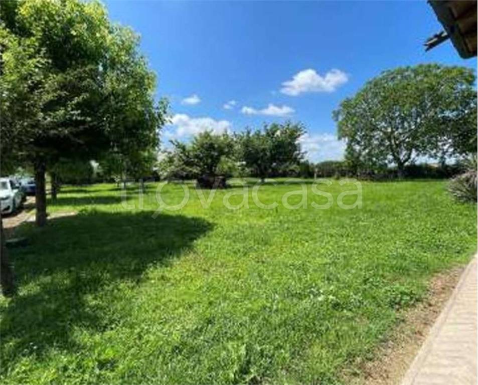 immagine annuncio 11 di 14