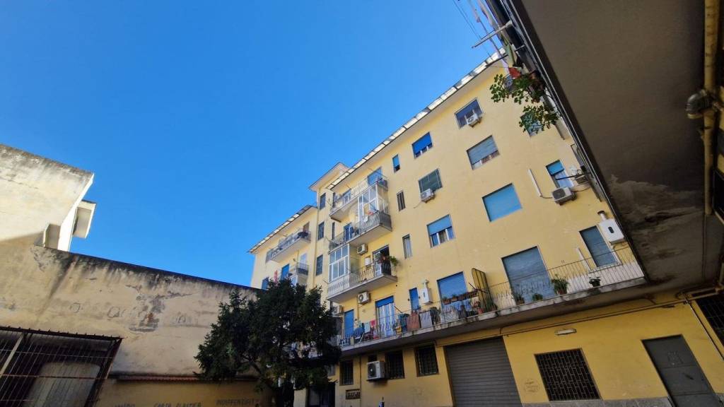 immagine annuncio 1 di 12