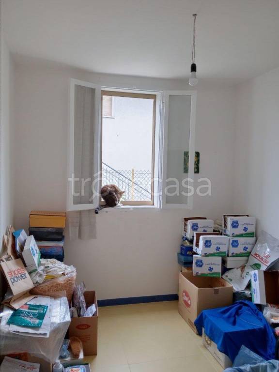 immagine annuncio 7 di 14
