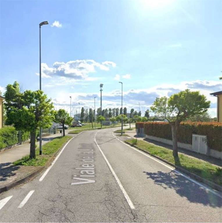 immagine annuncio 9 di 13