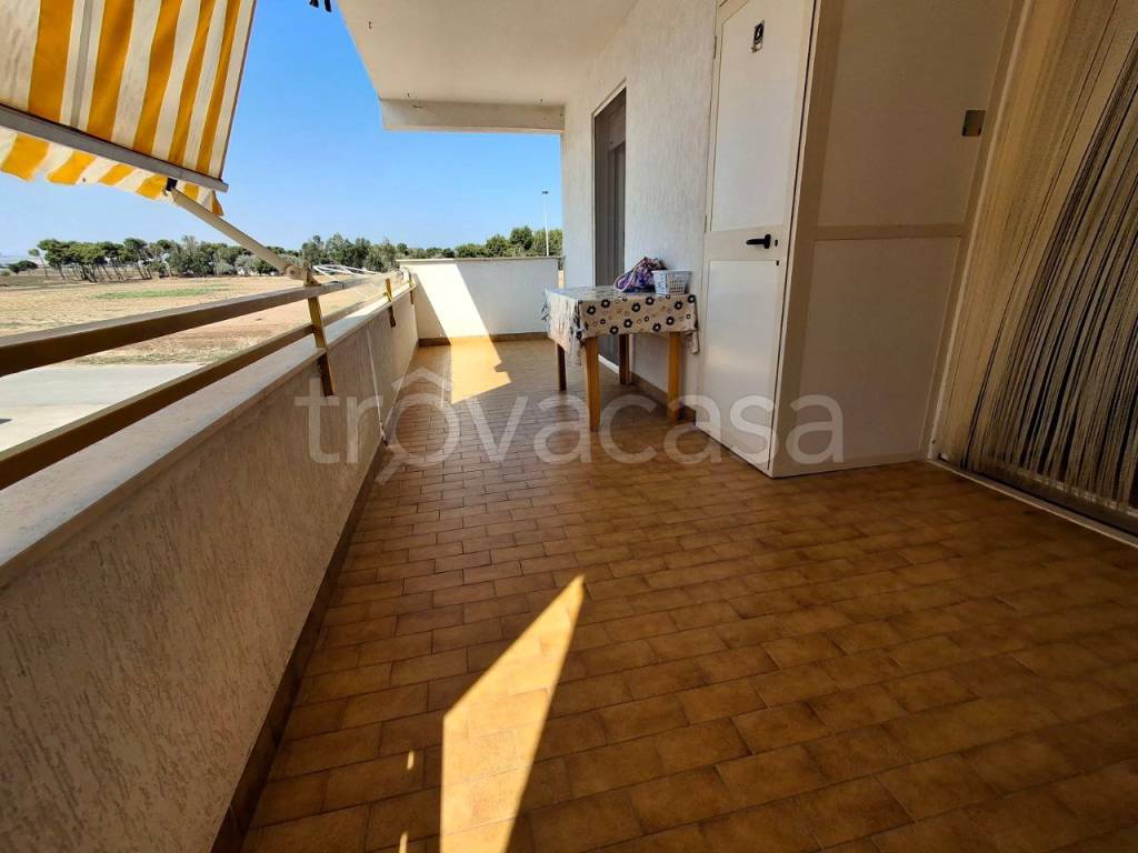 immagine annuncio 4 di 12