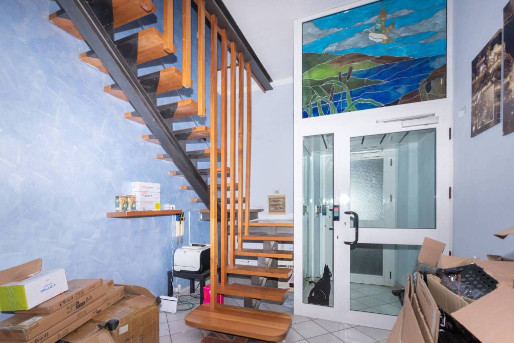 immagine annuncio 12 di 15