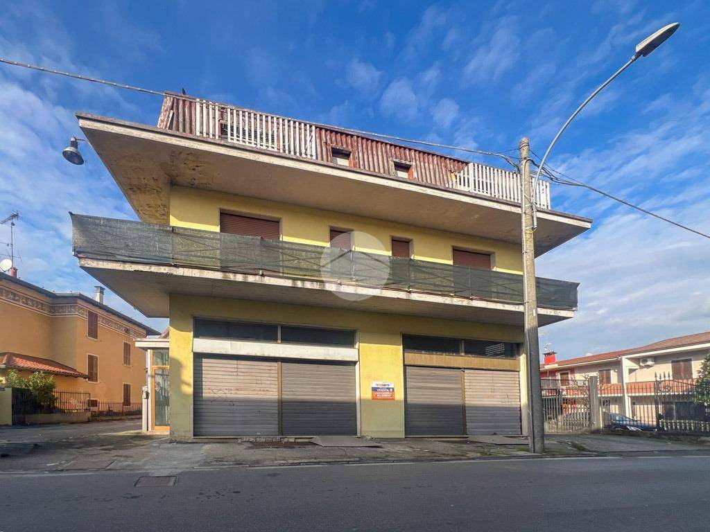 immagine annuncio 3 di 12