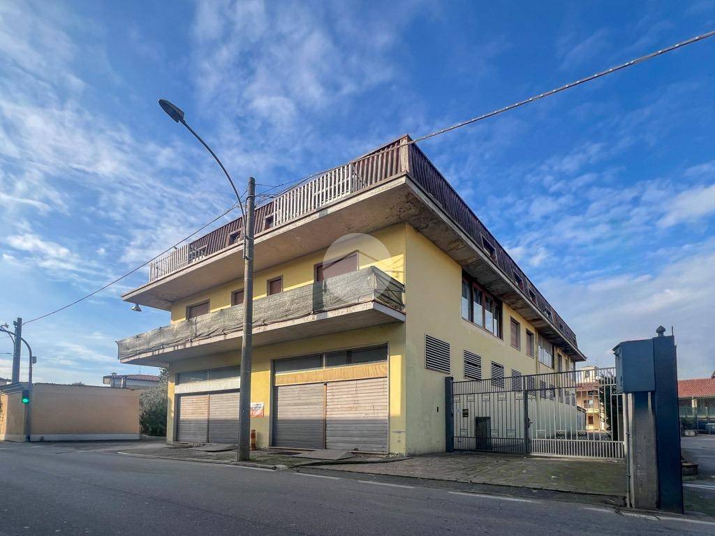 immagine annuncio 5 di 12