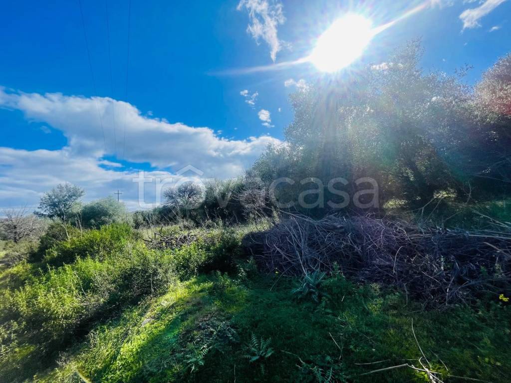 immagine annuncio 1 di 3