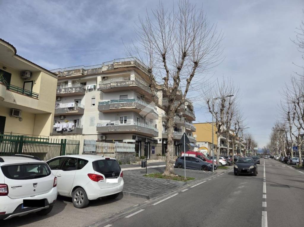 immagine annuncio 2 di 12