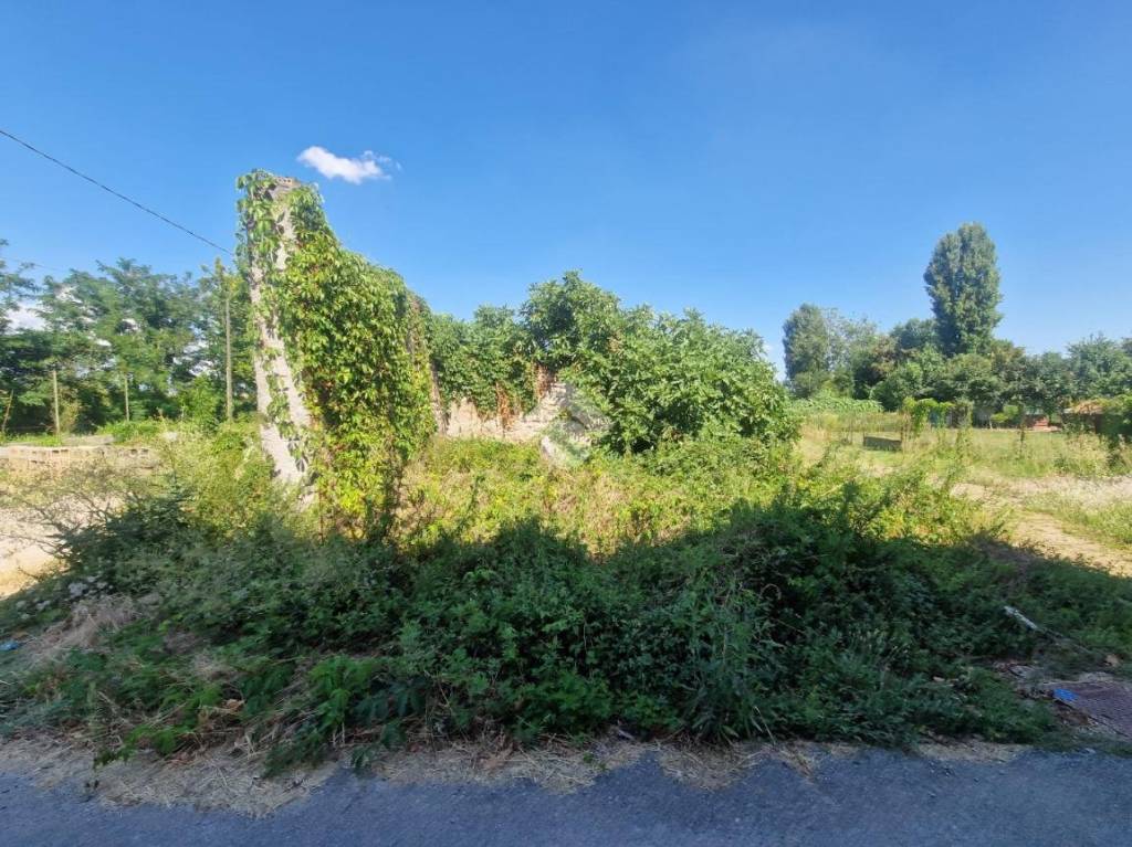 immagine annuncio 9 di 14