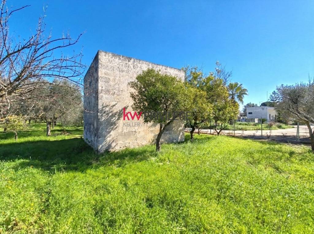 immagine annuncio 10 di 13