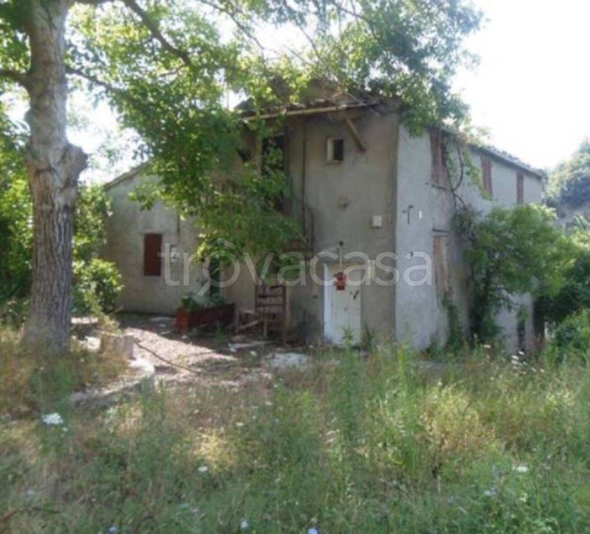 immagine annuncio 7 di 11